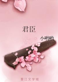 君臣封面