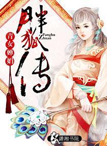胖狐传封面