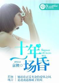 十年一场昏封面