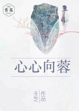 心心向蓉封面