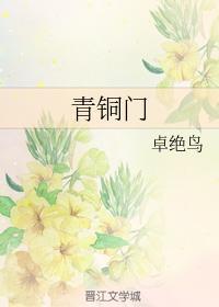 青铜门封面