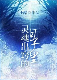 灵魂出窍的日子封面