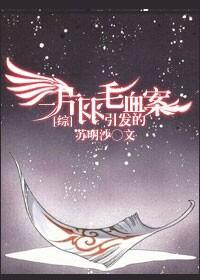 [综]一片羽毛引发的血案封面