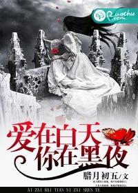 爱在白天，你在黑夜封面