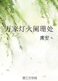 万家灯火阑珊处封面