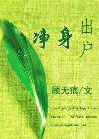 凈身出户封面