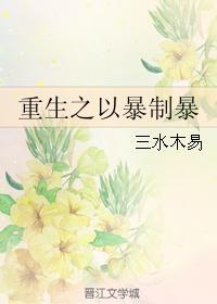 重生之以暴制暴封面
