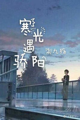 寒光遇骄阳封面
