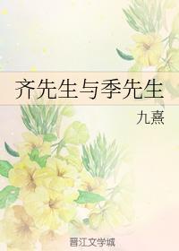 齐先生与季先生封面