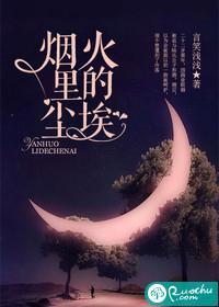 烟火裏的尘埃封面