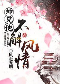 师兄他不解风情封面