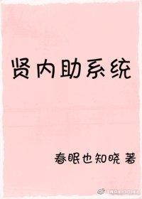 贤内助系统封面