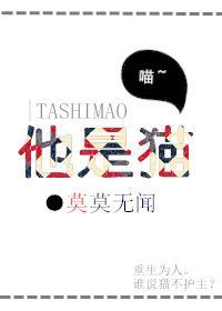 他是猫封面