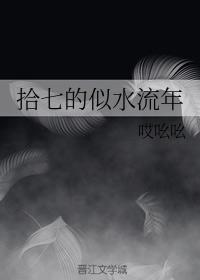 拾七的似水流年封面
