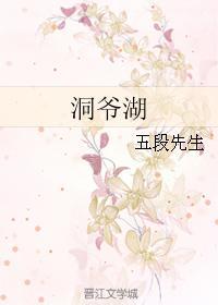 洞爷湖封面