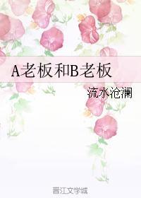 A老板和B老板封面