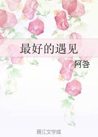 最好的遇见封面