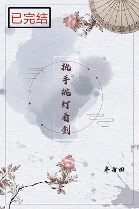 执手挑灯看剑封面