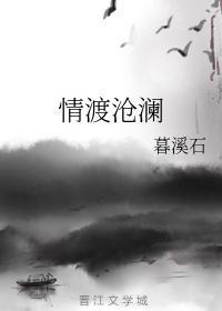 情渡沧澜封面
