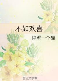 不如欢喜封面