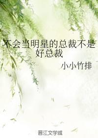 不会当明星的总裁不是好总裁封面
