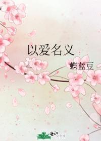 以爱名义封面