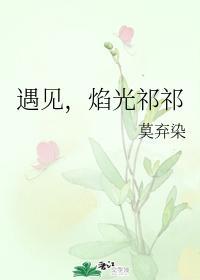 遇见，焰光祁祁封面