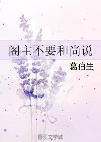 阁主不要和尚说封面
