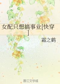女配只想搞事业[快穿]封面