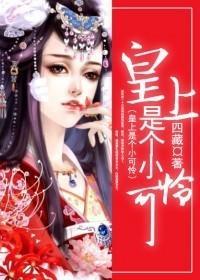 皇上是个小可怜封面