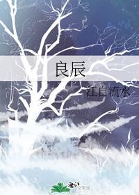良辰封面