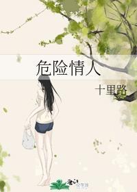 危险情人封面