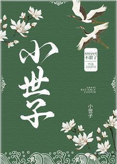 小世子封面