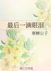 最后一滴眼泪封面