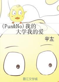 我的大学我的爱封面