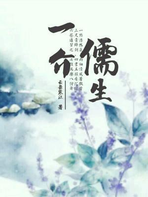 一介书生封面