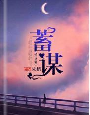 蓄谋封面