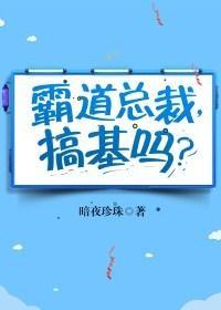 霸道总裁，搞基吗？封面