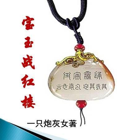 宝玉战红楼封面
