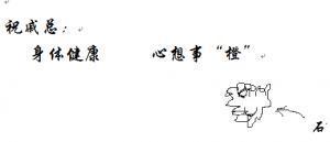 顽石封面