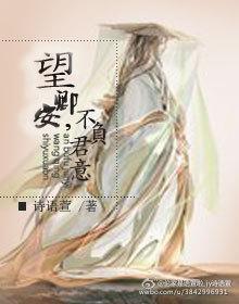望卿安，不负君意封面