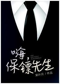 嗨，保镖先生封面
