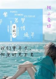 繁华若梦惜流年封面