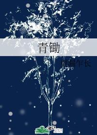 青锄封面