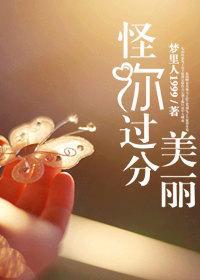 怪你过分美丽封面