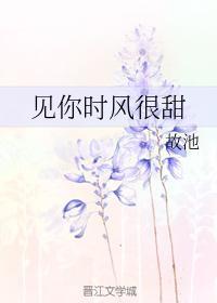 见你时风很甜封面