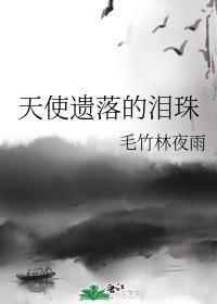 天使遗落的泪珠封面
