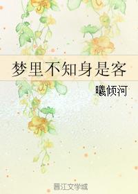 梦裏不知身是客封面