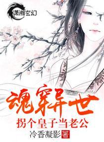 魂穿异世拐个皇子当老公封面
