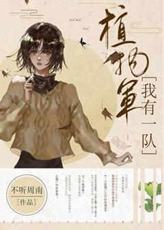 我有一队植物军封面